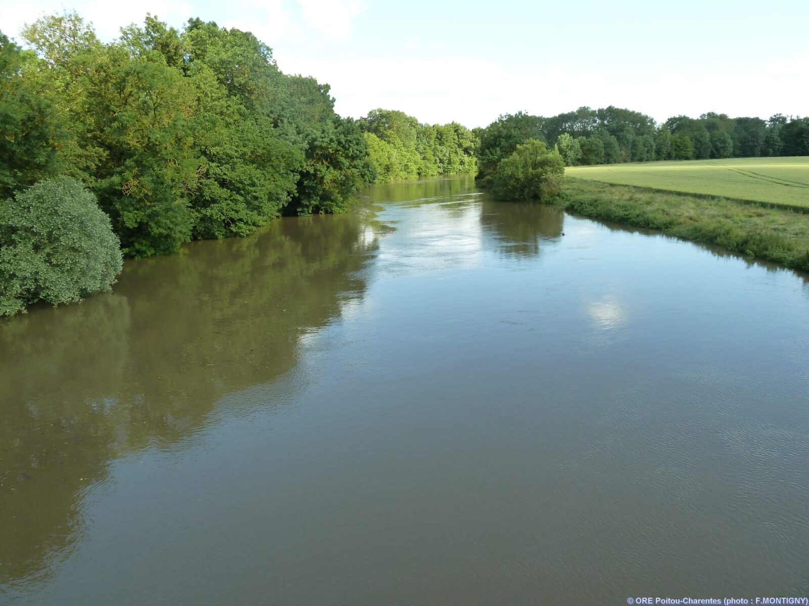 e Clain après un orage à Saint-Georges-lès-Baillargeant, qualité de l’eau d’un cours d’eau de la Vienne