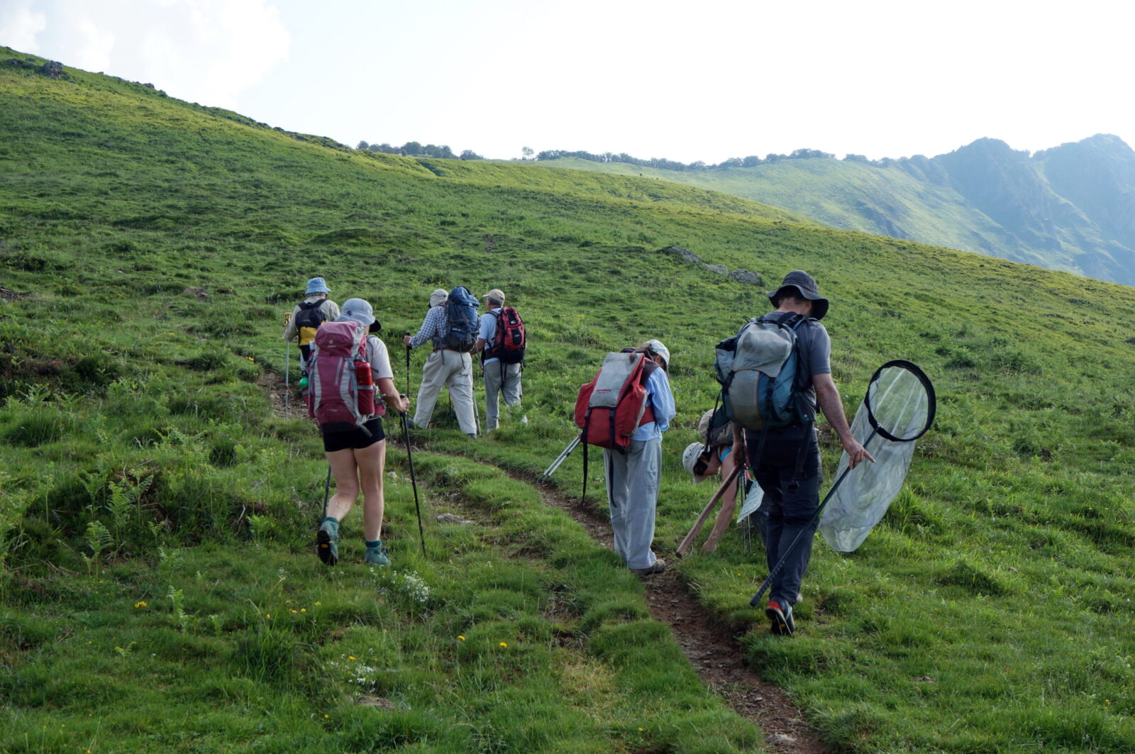Accompagnement lors d'un programme de sciences participatives