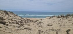 Lacanau plage