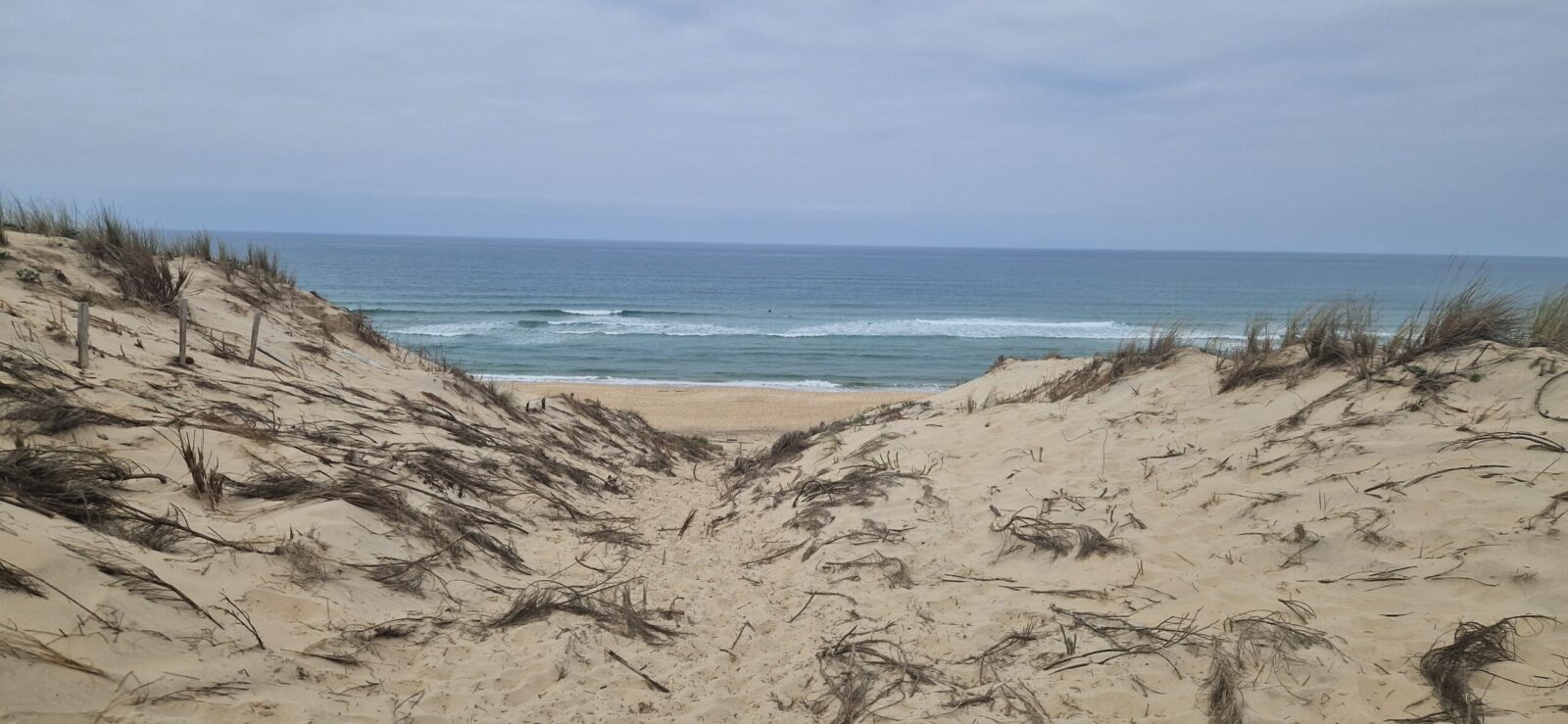 Lacanau plage