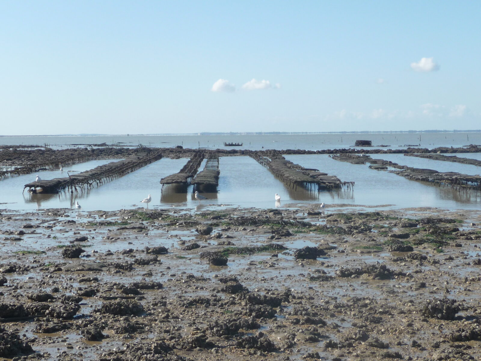 Littoral à Fouras