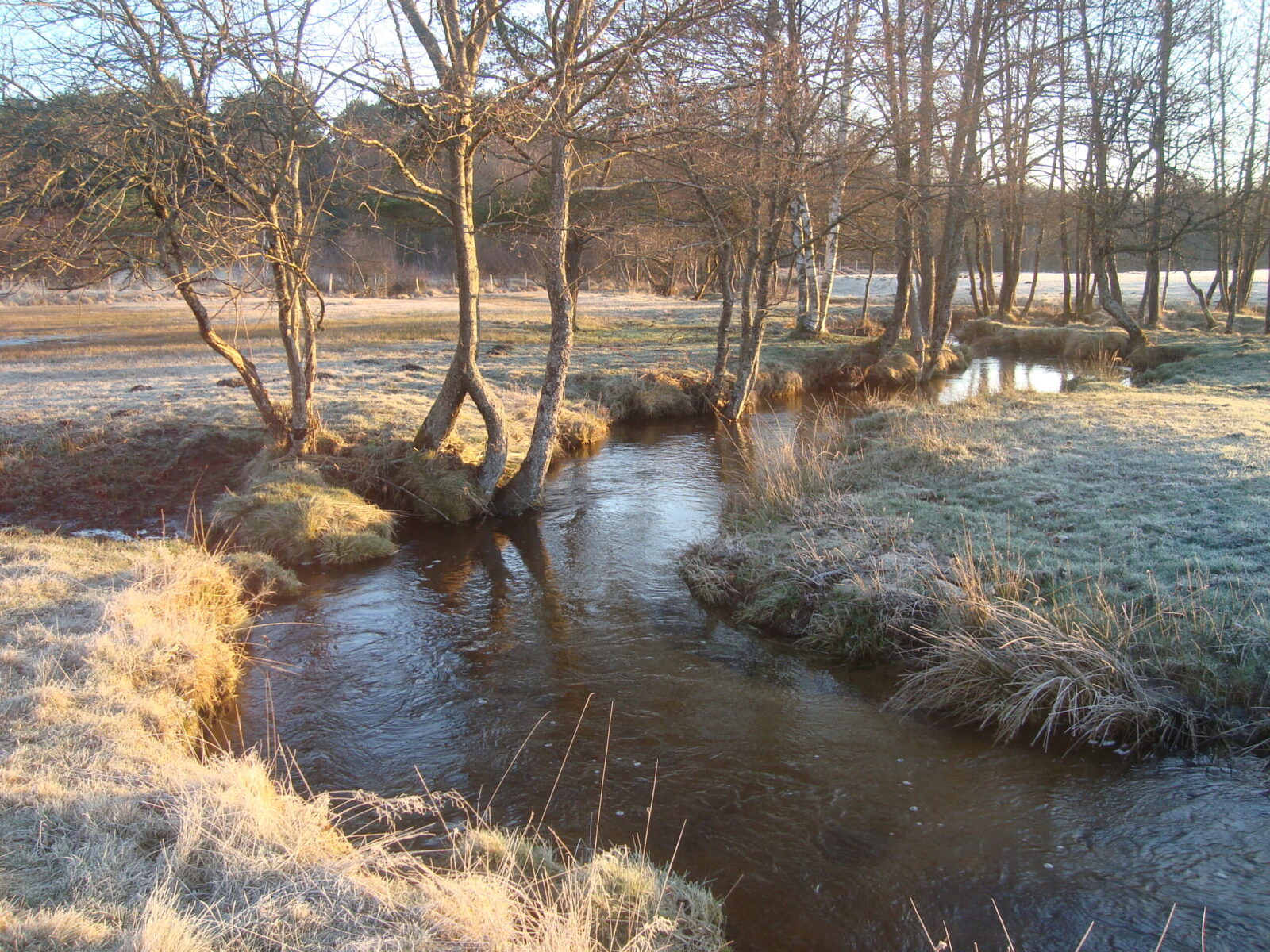 Ruisseau de l'Echameil (Bugeat)