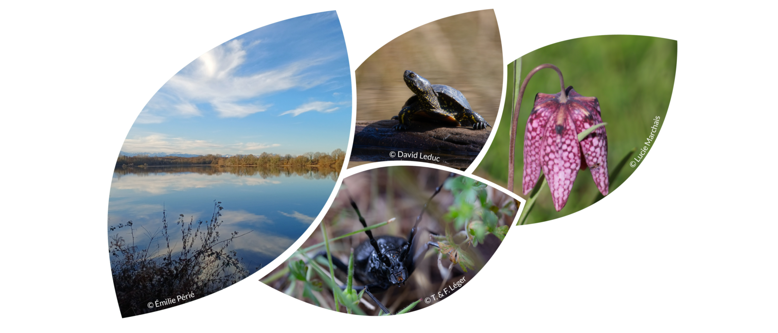 enjeux eau et biodiversité