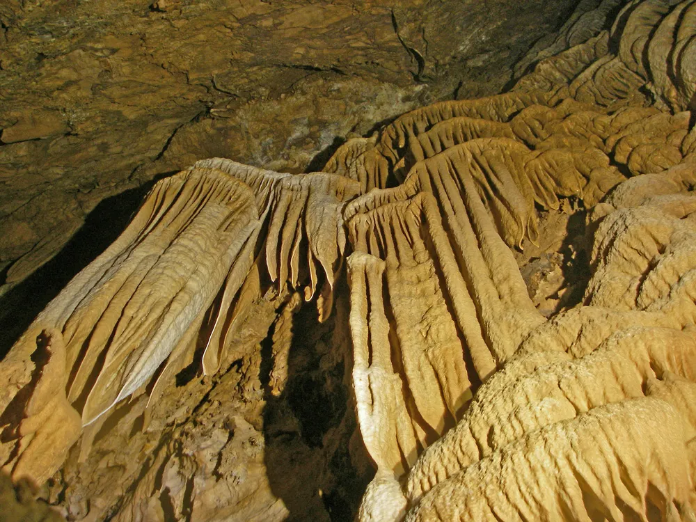 cavité charentaise